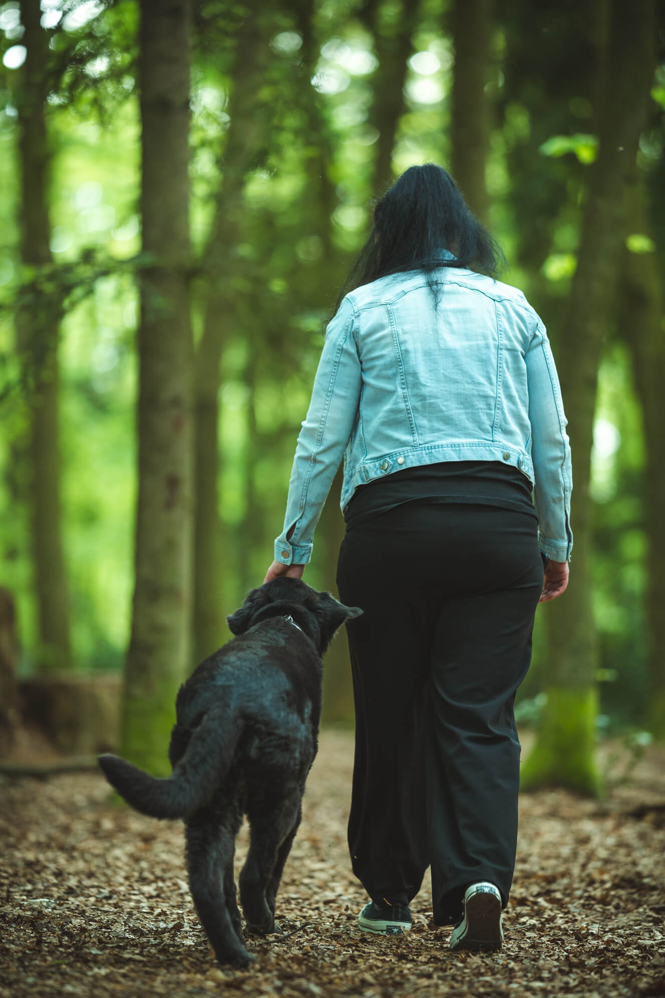 Hundefotografie Ostfriesland Aurich